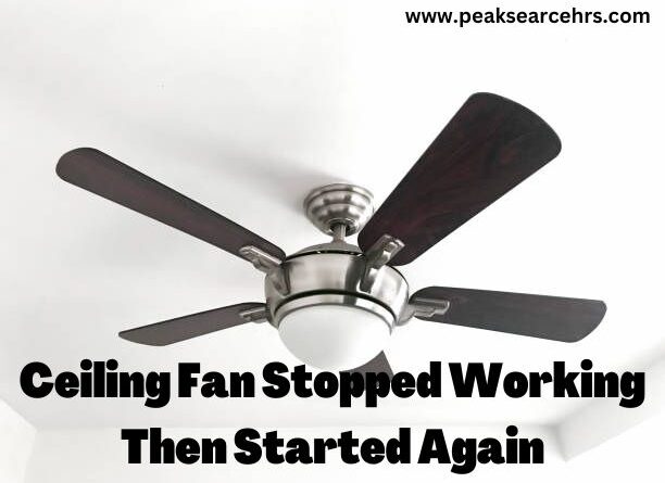 Ceiling Fan Stopped Working Then Started Again