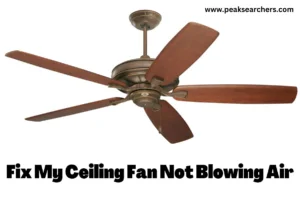 Fix My Ceiling Fan Not Blowing Air