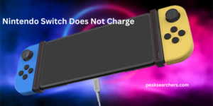 Nintendo Switch Does Not Charge