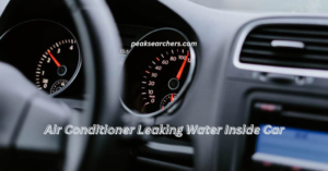 Air Conditioner Leaking Water Inside Car
