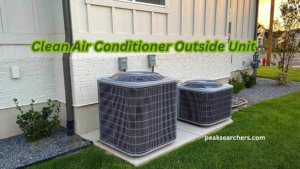 Clean Air Conditioner Outside Unit