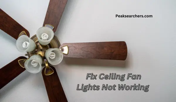 Fix Ceiling Fan Lights Not Working