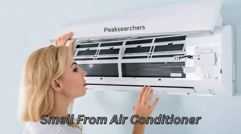 Smell From Air Conditioner