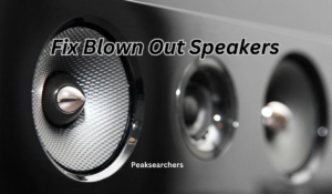  Fix Blown Out Speakers