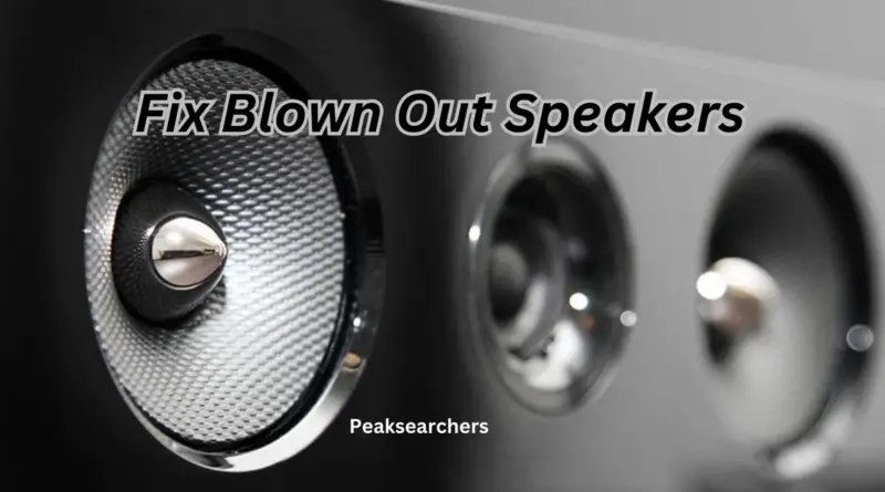 Fix Blown Out Speakers