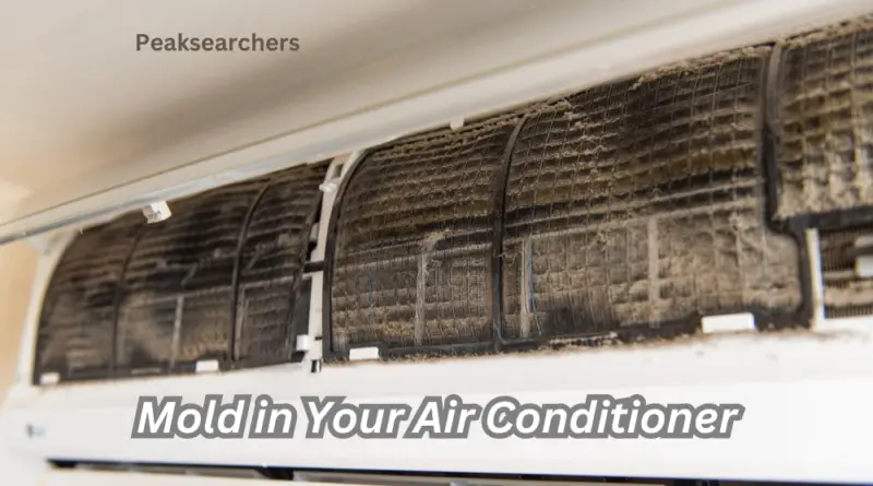 Mold in Your Air Conditioner
