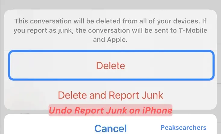 Undo Report Junk on iPhone
